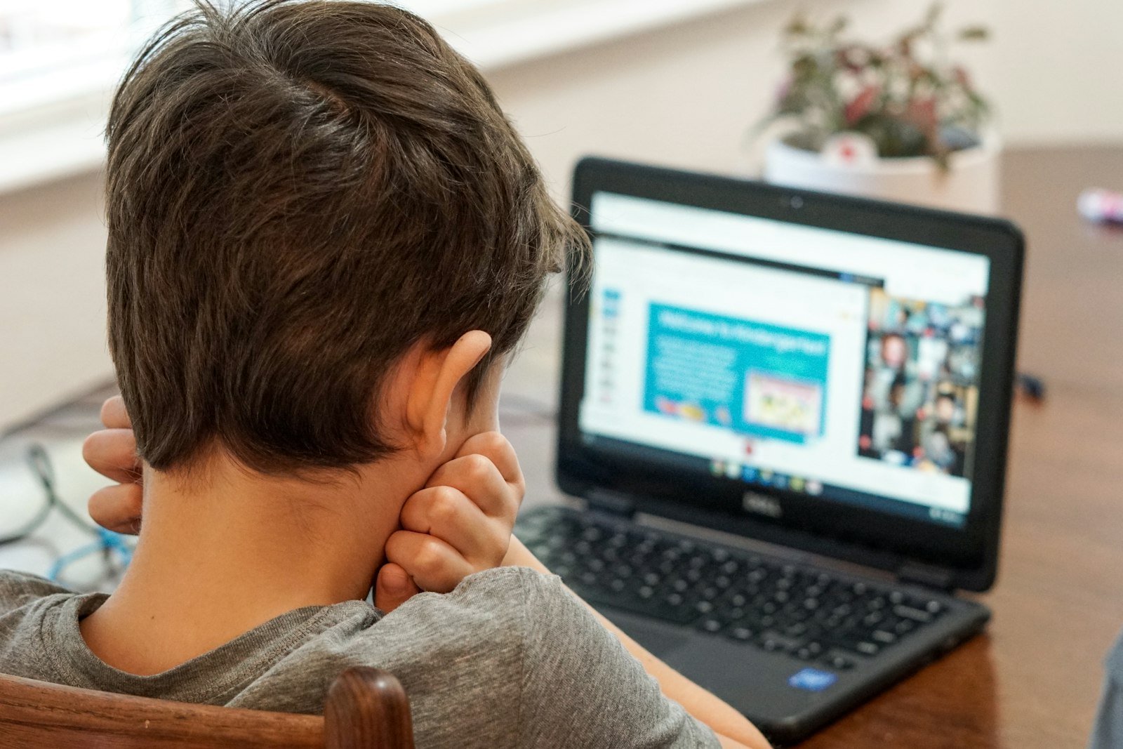 A boy using a laptop for homework